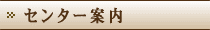 �Z���^�[�ē�