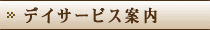 �f�C�T�[�r�X�ē�